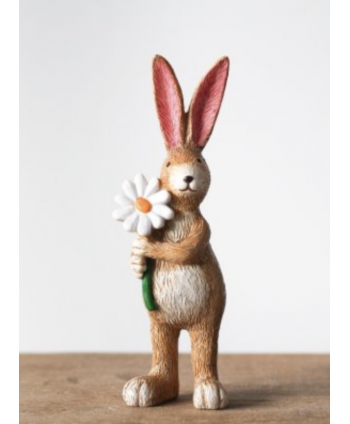 Bunny rabbit with daisy...