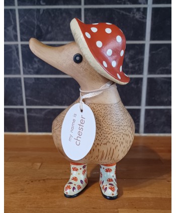 DCUK, Chester the Fungi...